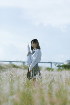 天盛长歌原著